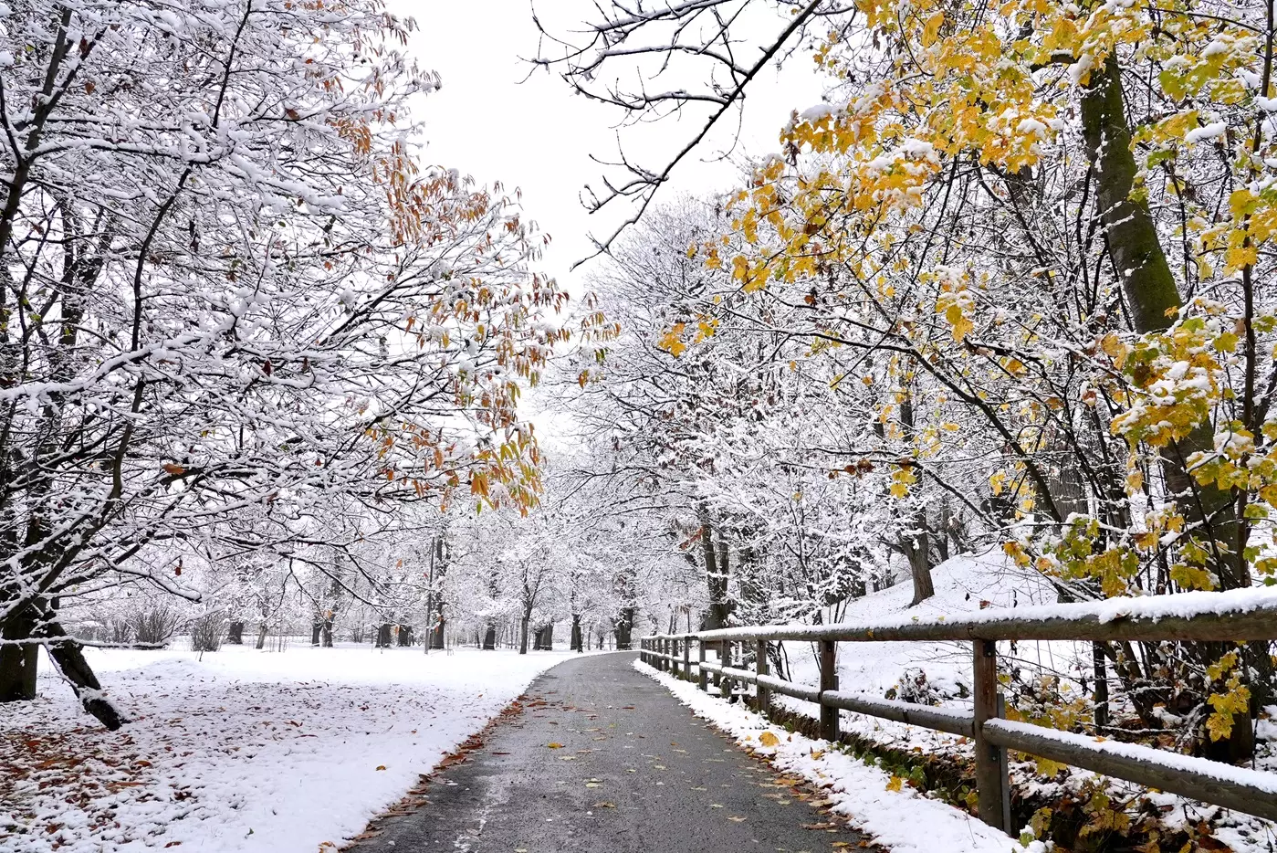 Stagione invernale 2025