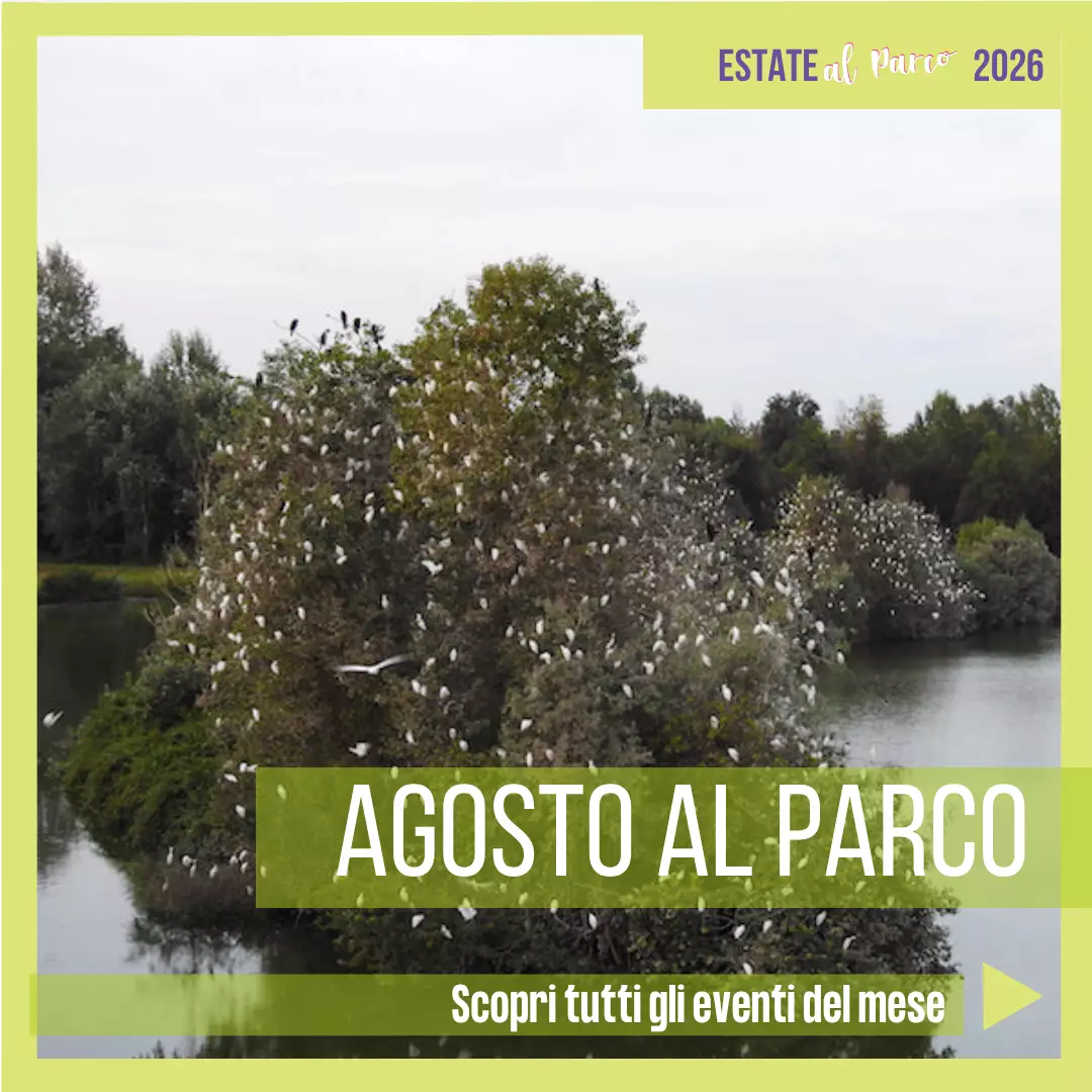 Agosto al Parco 2026