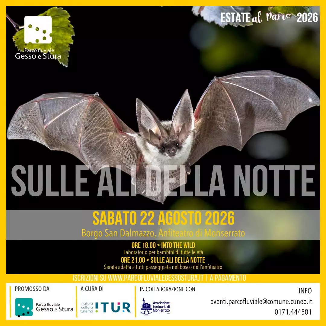 Creatività, pipistrelli e natura al tramonto: a Monserrato il doppio appuntamento del Parco fluviale
